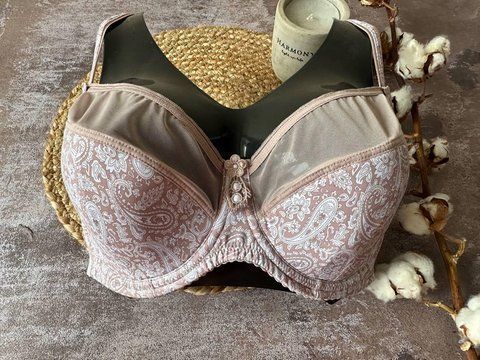 Бюстгальтер напівпоролоновий Lanny Mode пудровий 90E 2752 фото